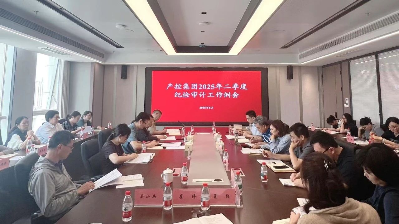 产控完美体育app官网入口组织召开2025年二季度纪检、审计工作例会